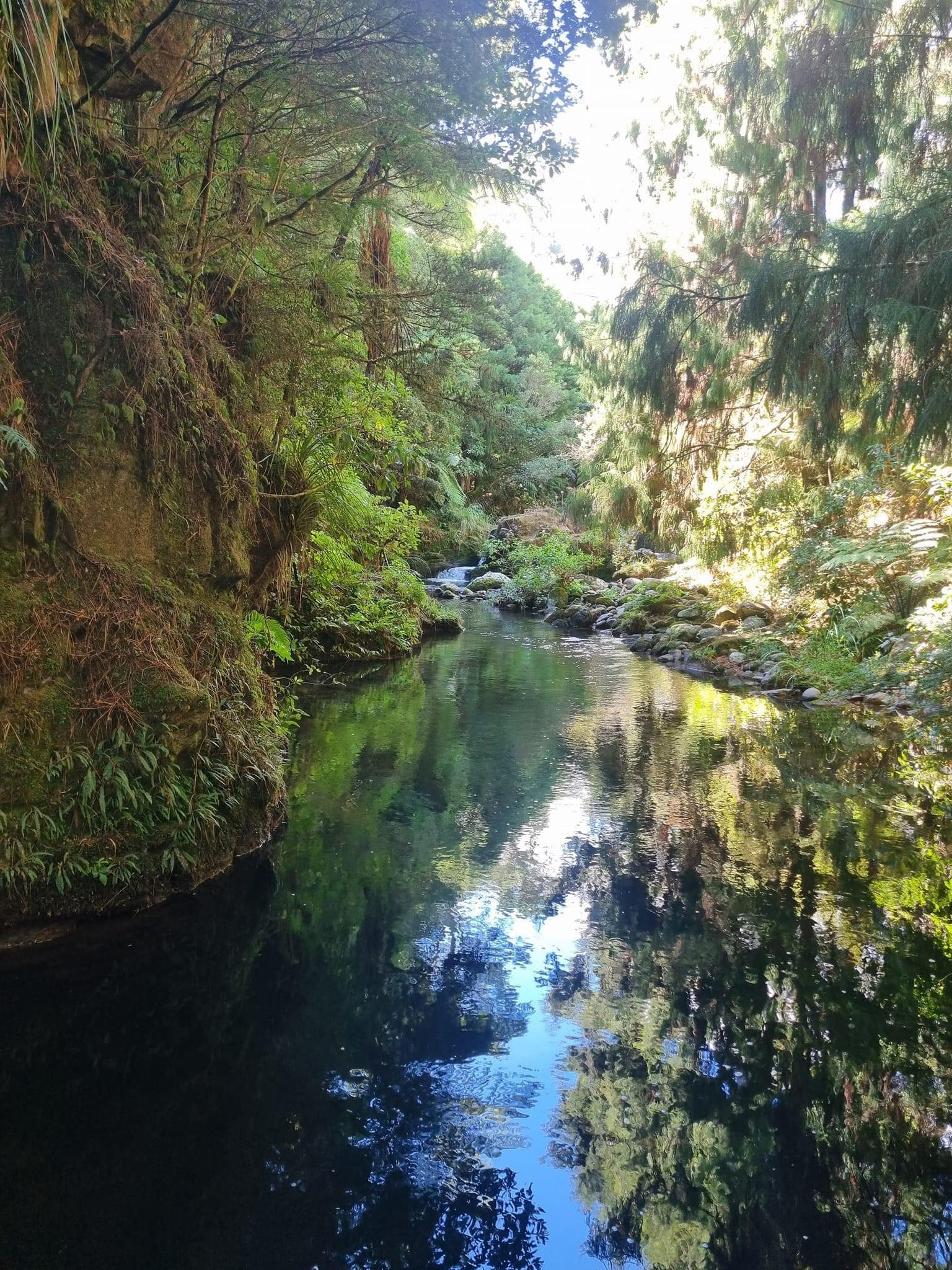 THSL - Rapurapu creek 2